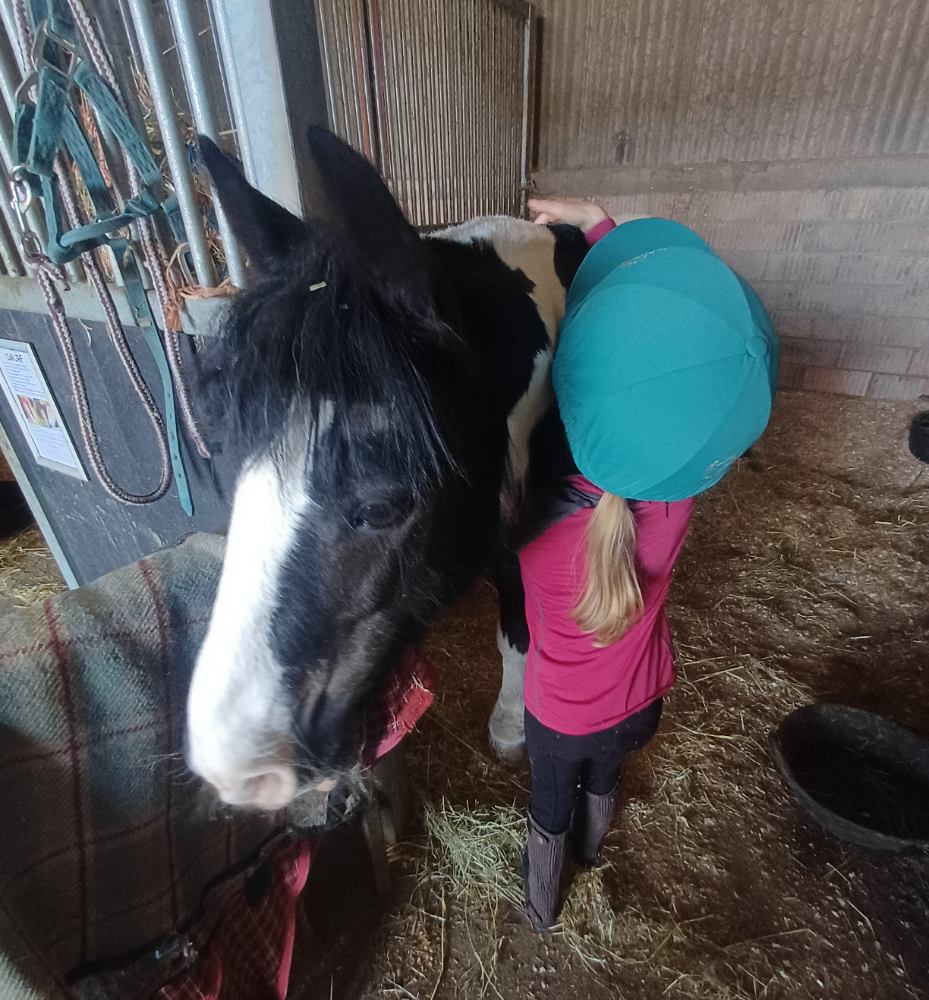 Girl hugging pony