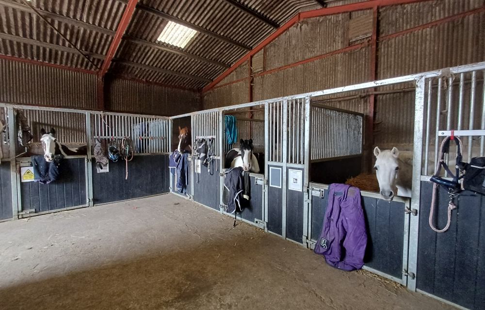 The barn with horses at little gems welbeing centre